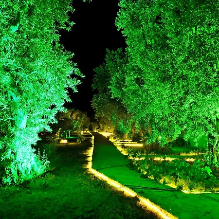Adasu Hotel *