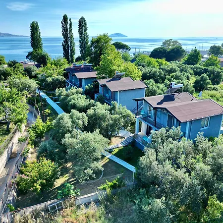 Hotel Adasu *